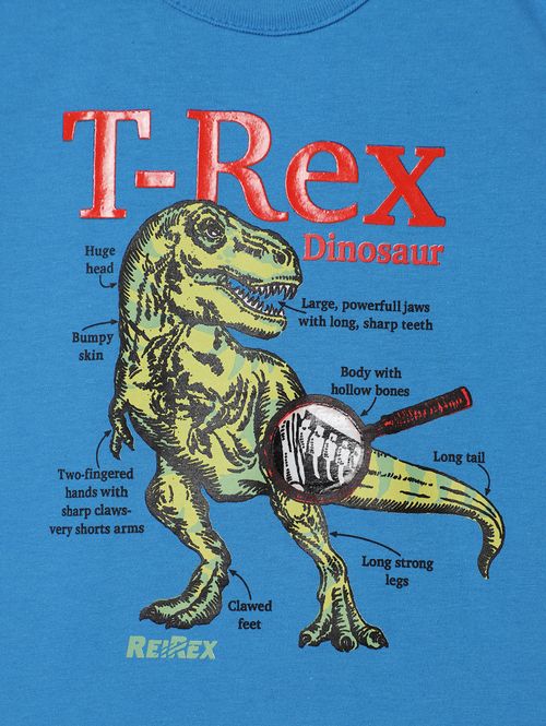 Conjunto Curto Infantil Para Menino - AZUL