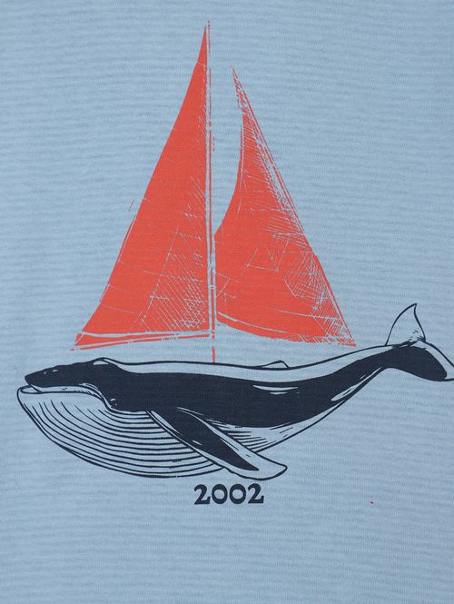 Camiseta Regata Estampada Infantil Para Menino- AZUL