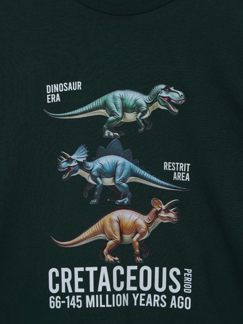 Camiseta Manga Longa Infantil Para Menino - VERDE