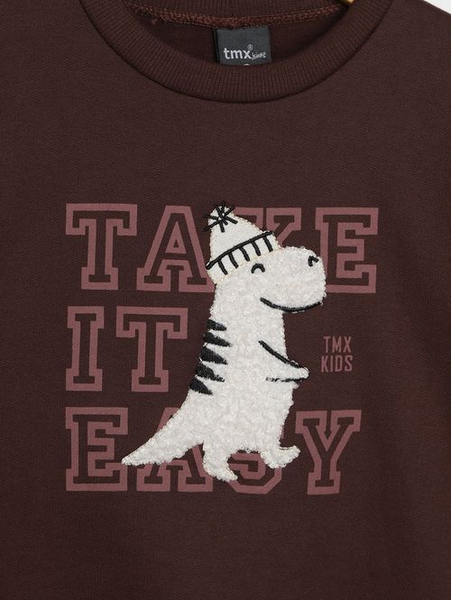 Conjunto Longo Estampado Infantil Para Menino- MARROM