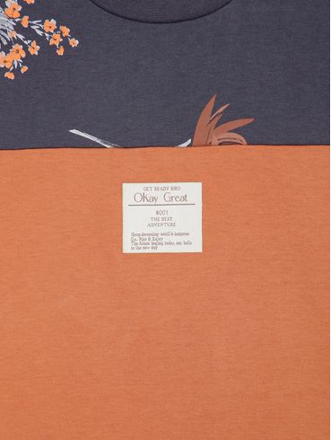 Camiseta Manga Curta Infantil Para Menino - CINZA/TELHA