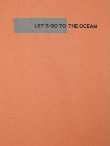 Conjunto Infantil Para Menino - TELHA