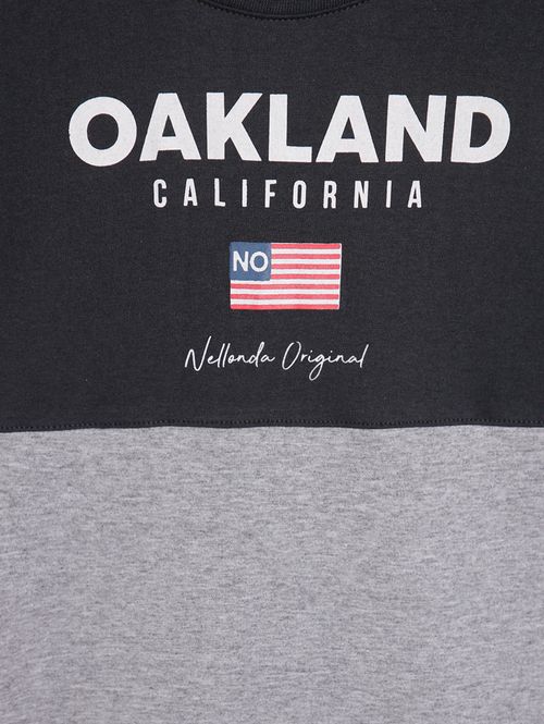 Camiseta Manga Longa Plus Size Masculina CHUMBO