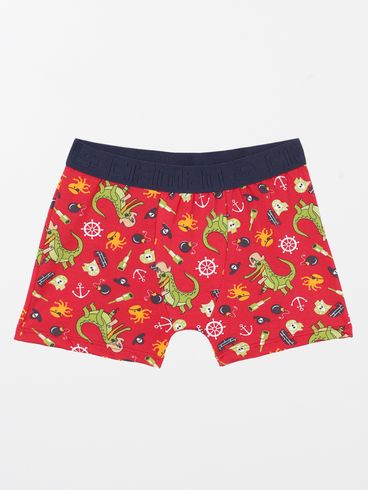 Cueca Boxer Infantil Para Menino - VINHO