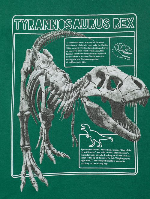 Camiseta Regata Infantil Para Menino - VERDE