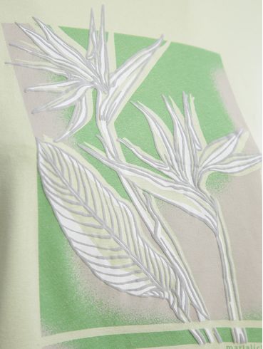 Blusa Cropped Manga Curta Feminina VERDE CLARO