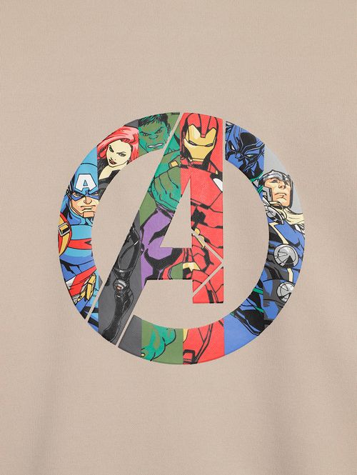 Moletom Avengers Juvenil Para Menino - CAQUI