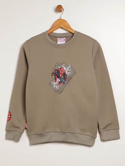 Moletom Spider Man Juvenil Para Menino - VERDE