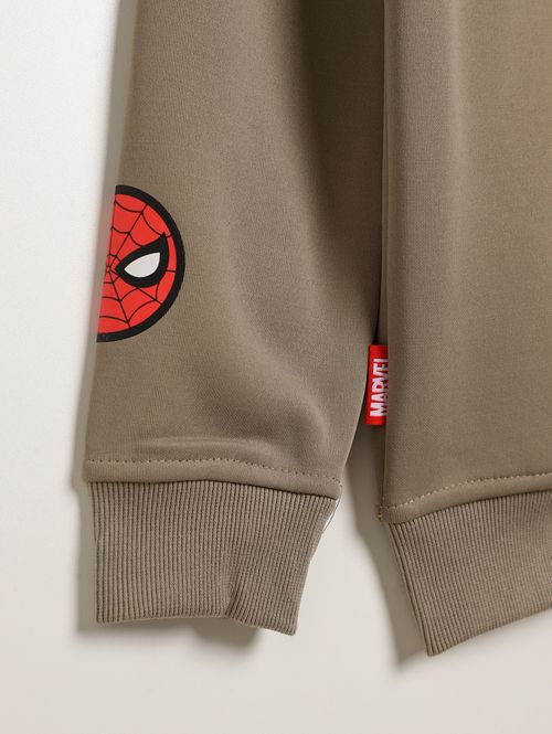 Moletom Spider Man Juvenil Para Menino - VERDE