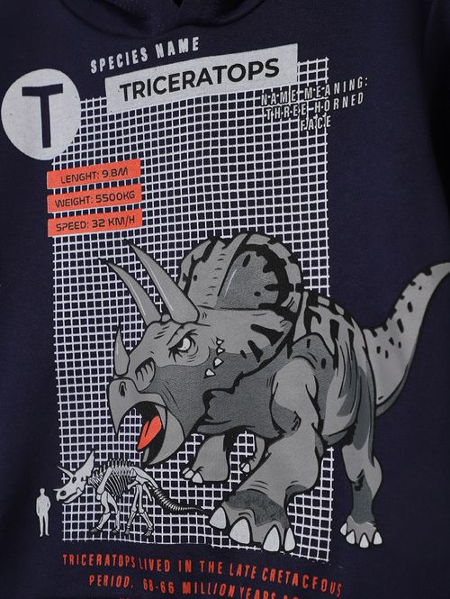 Moletom Com Capuz Infantil Para Menino - MARINHO