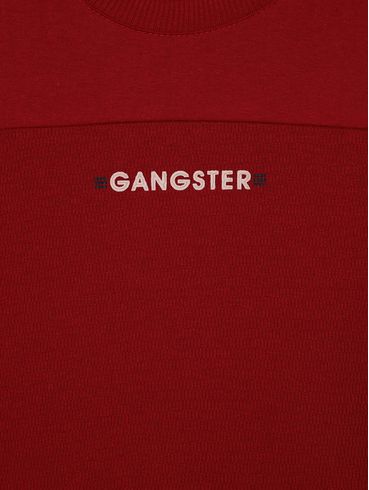 Camiseta Manga Longa Juvenil Para Menino - VINHO